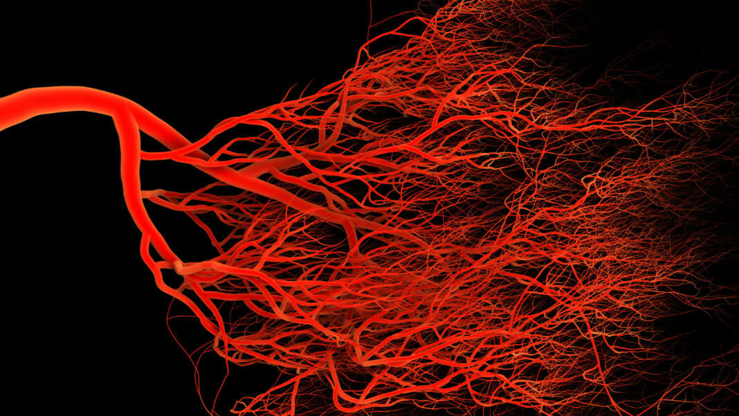 3D-bioprinting-vascularized-tissue-blood-vessels (1)