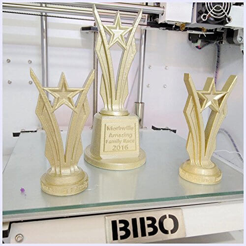 Bibo Dual Extruder print quality (1)