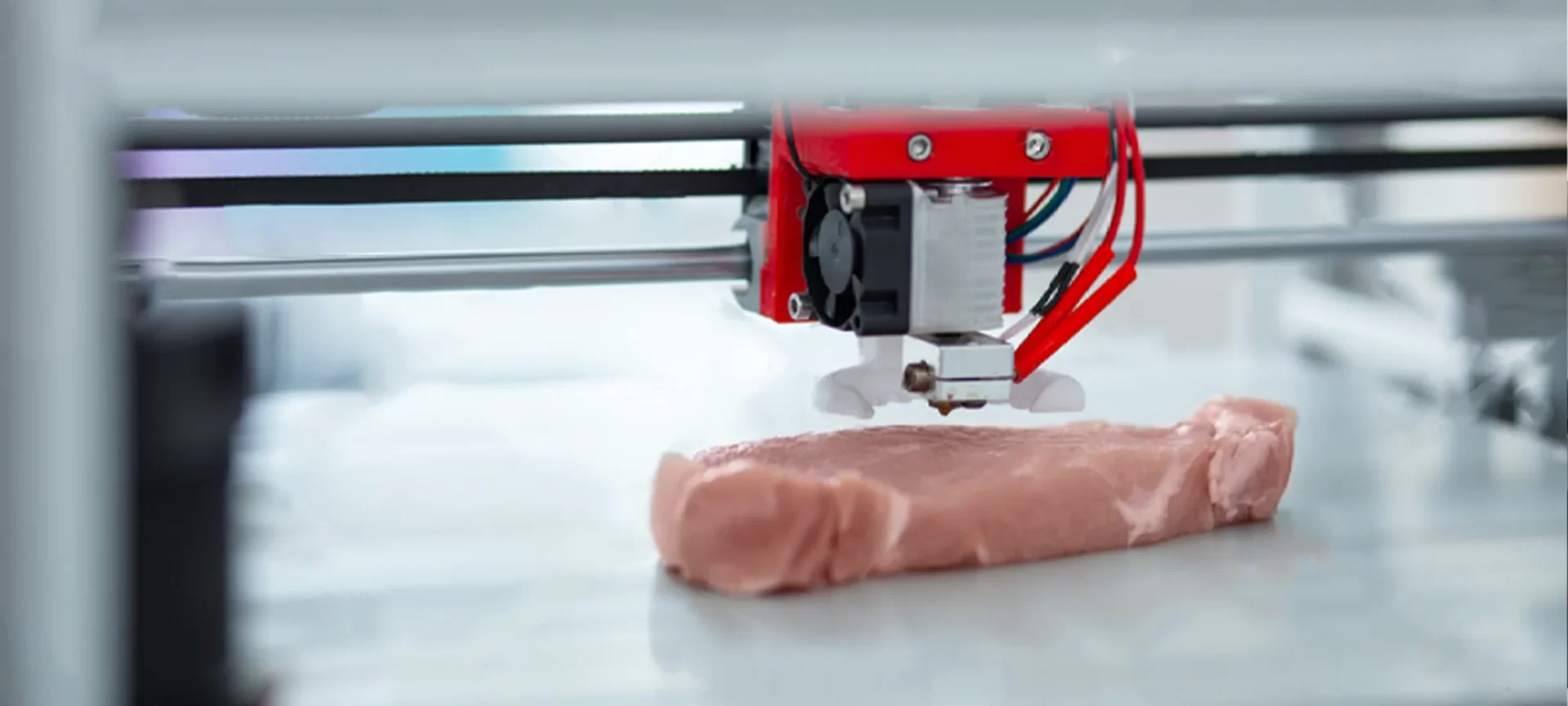 3D printed meat