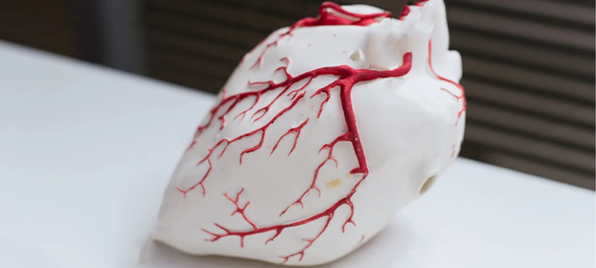 3D printed bio heart