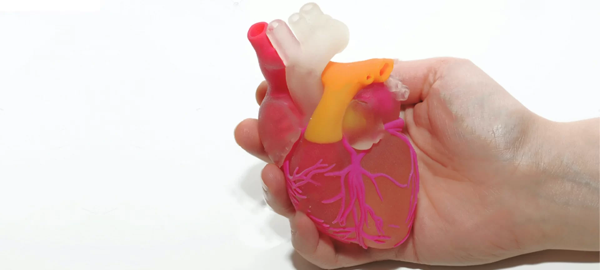 3D printed heart