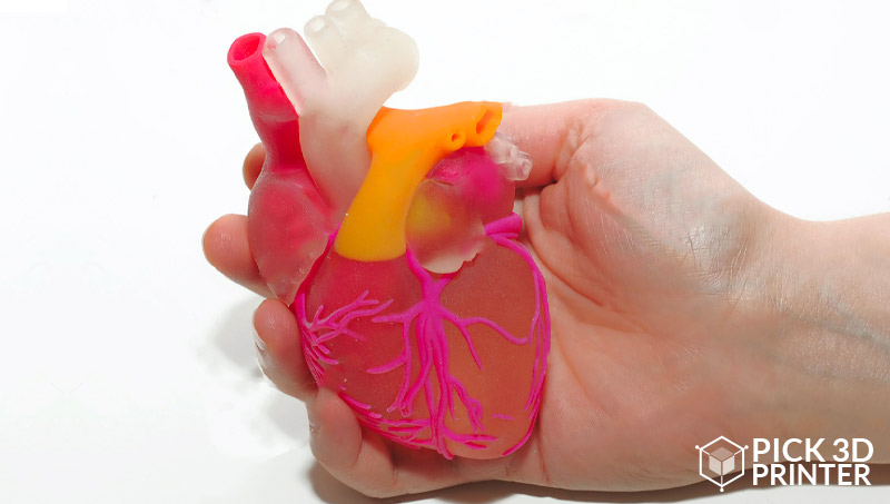 3D printed heart