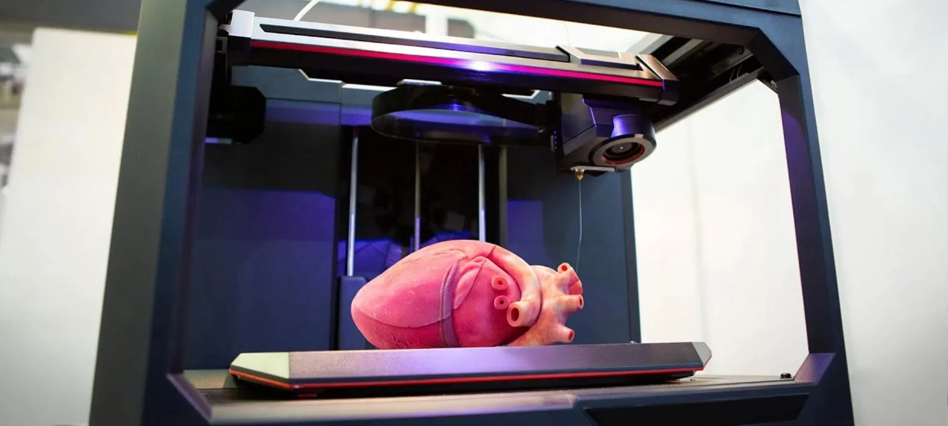 3D printed heart