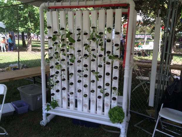 Hydroponic Farm