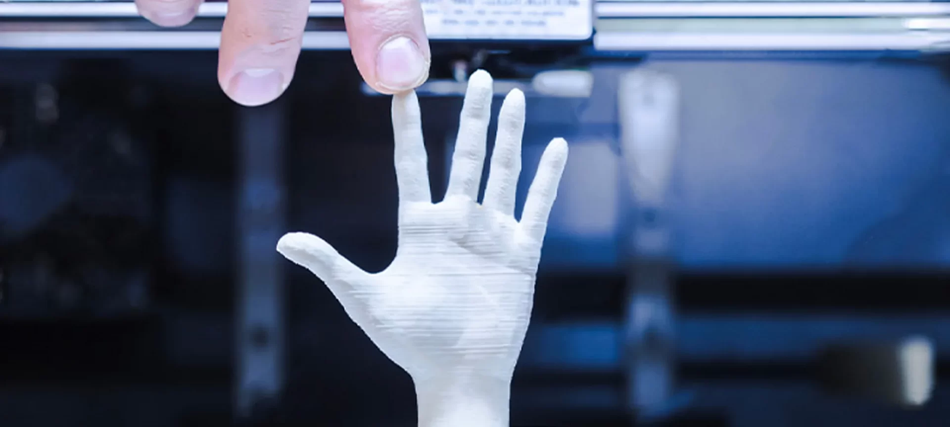 3D Bioprinting