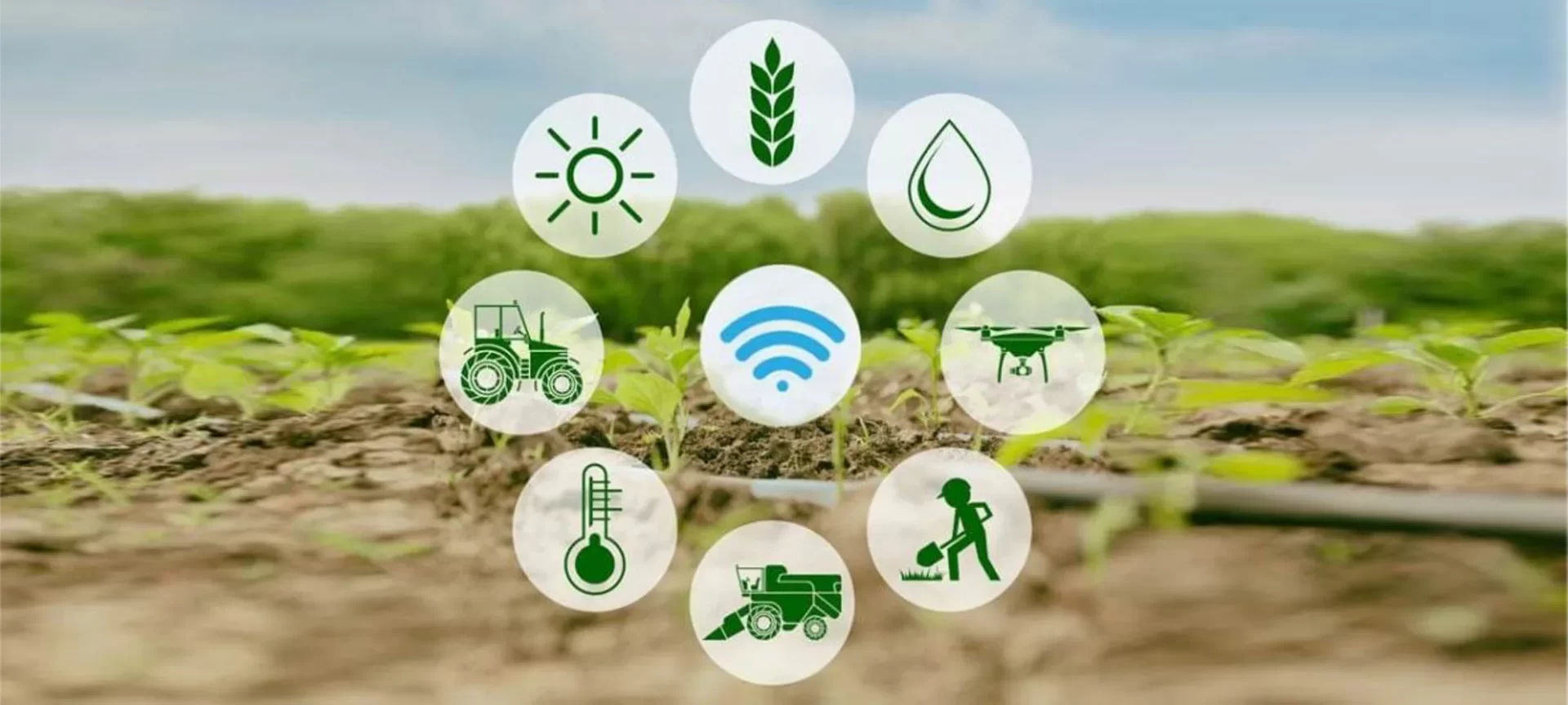 IoT Based Smart Agriculture System