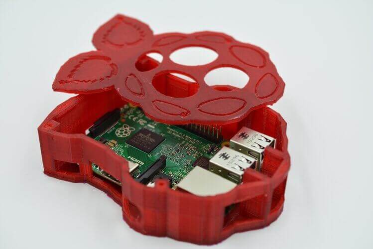 Raspberry Shaped Raspberry Pi Case