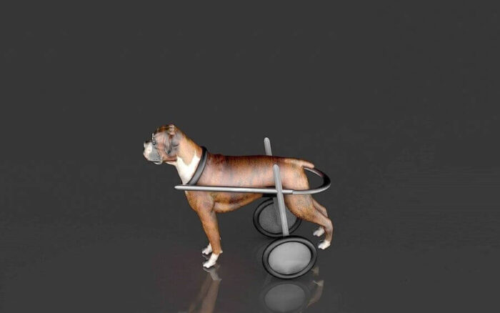 Dog Wheelchair 3d model